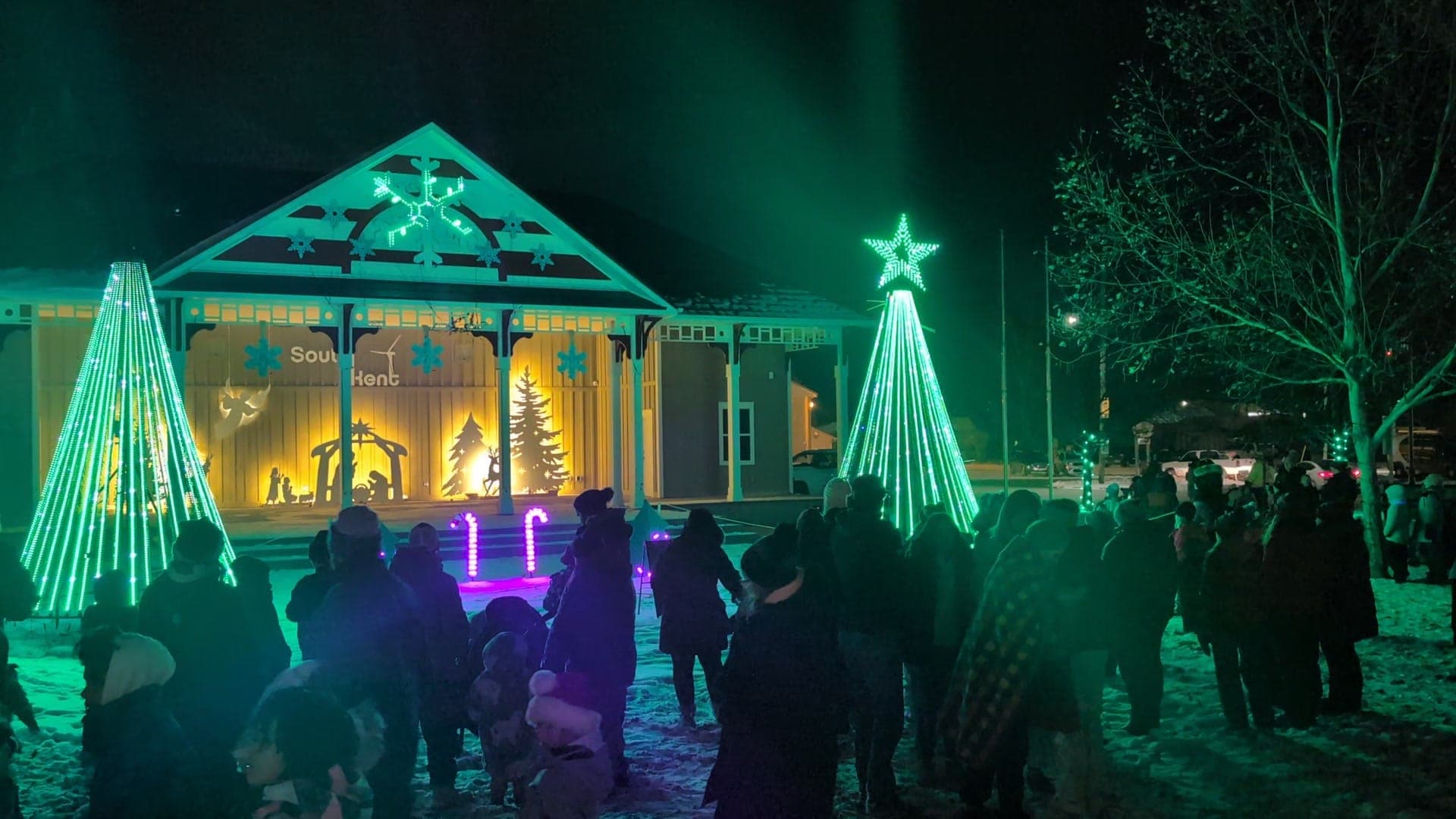 Families on the lawn watching the stage glow green during the music-synchronized show